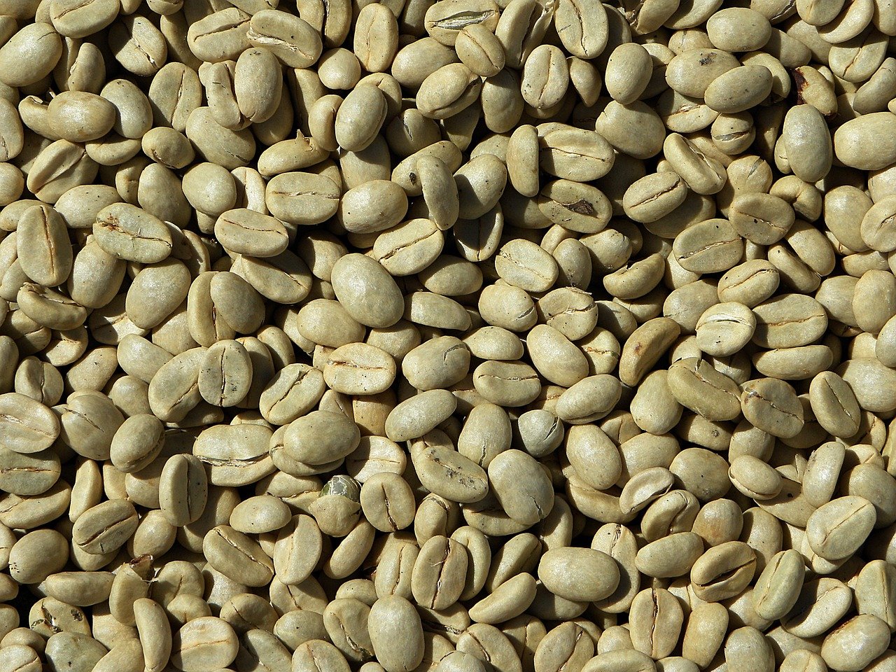 Co je to zelená káva a jaké má účinky?